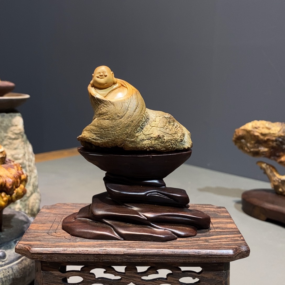 柏木（崖柏）1111111111111111