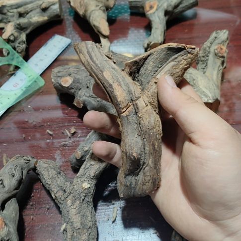 用***1大果紫檀（缅甸花梨）