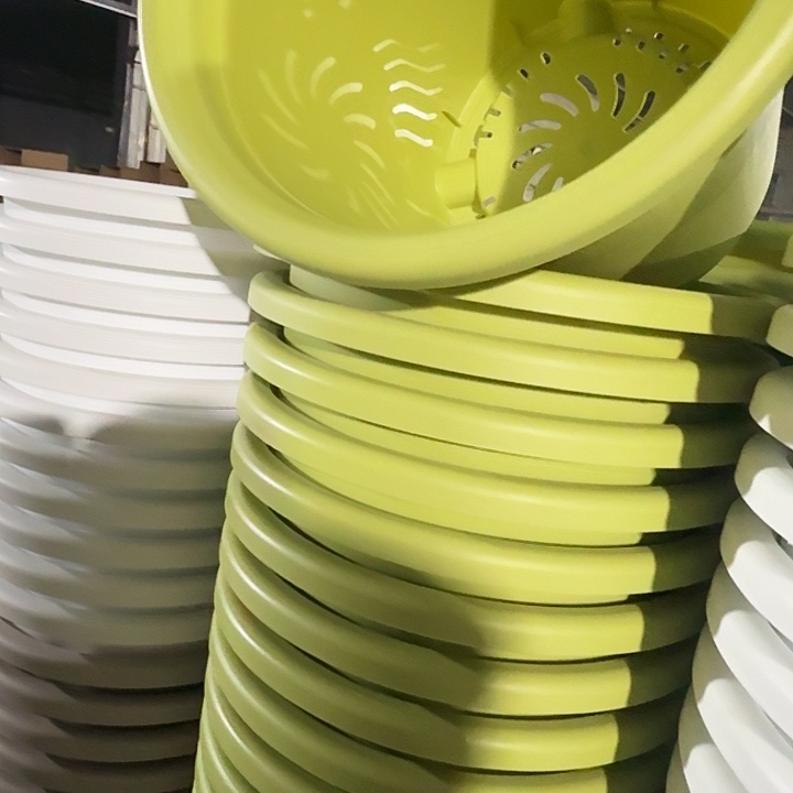 四季8号果绿无托5个特价