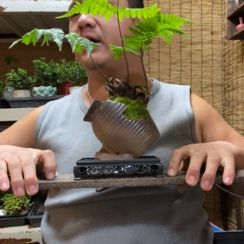 红陶u****o一物一拍所见即所得202