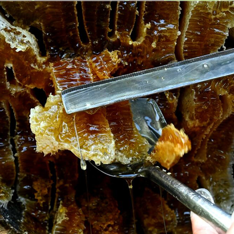 【荒野杨东东专属】东东家土蜂蜜 深山土蜂蜜