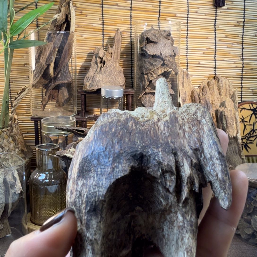 沉香沉香碎屑沉香香胆74g
