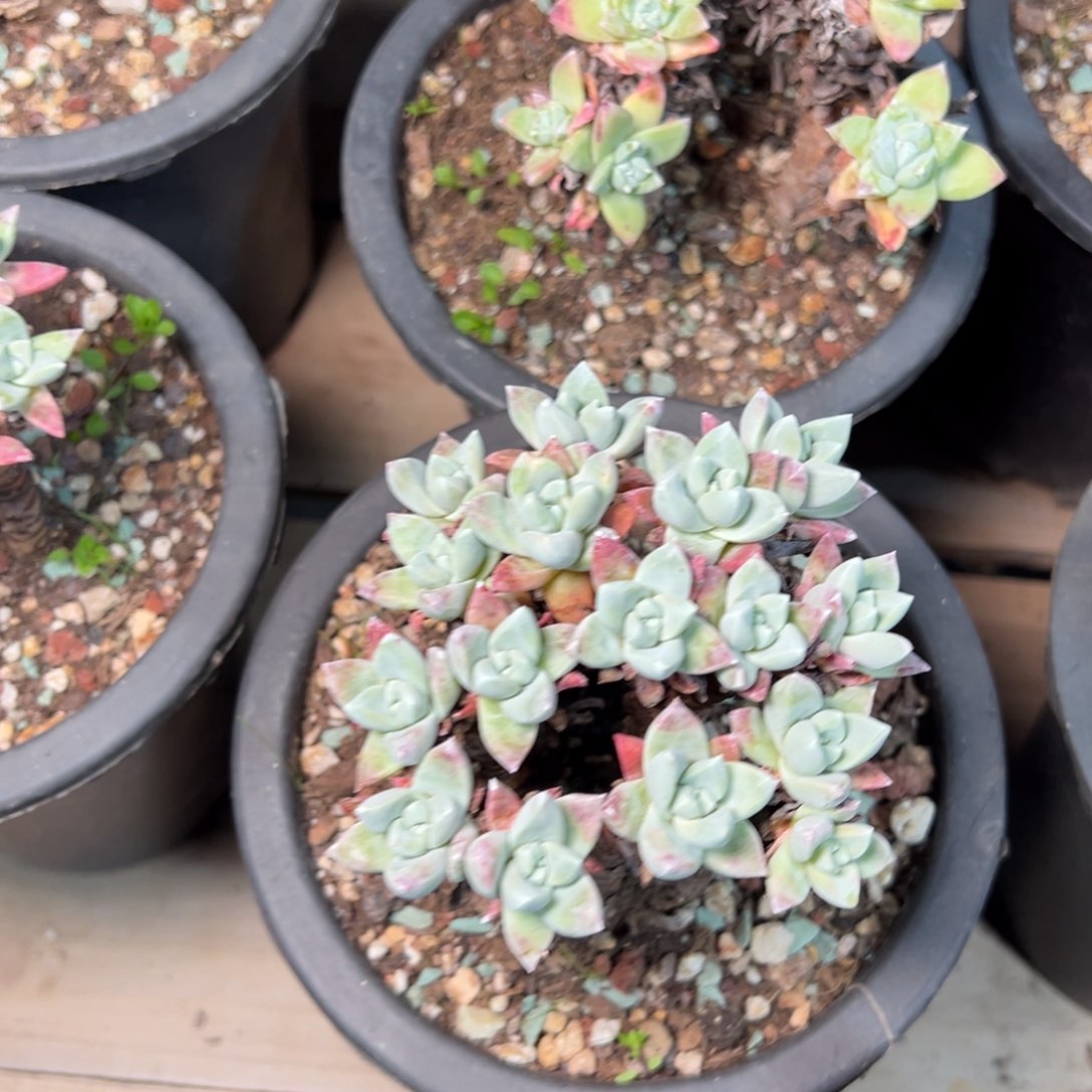 2哈哈哈哈哈哈哈哈