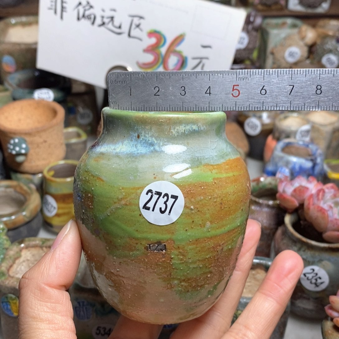 处理的花盆不退不换的，原价28