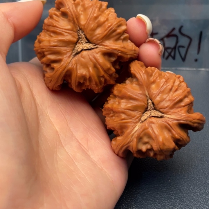 田***茶吊坠文玩核桃白狮子