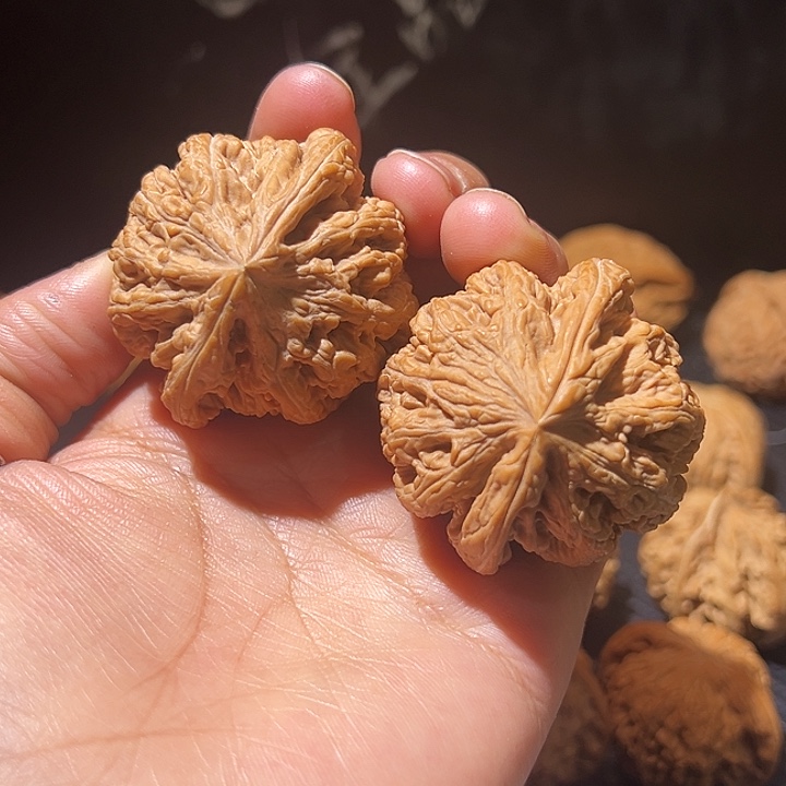 核桃全品无修大粗筋