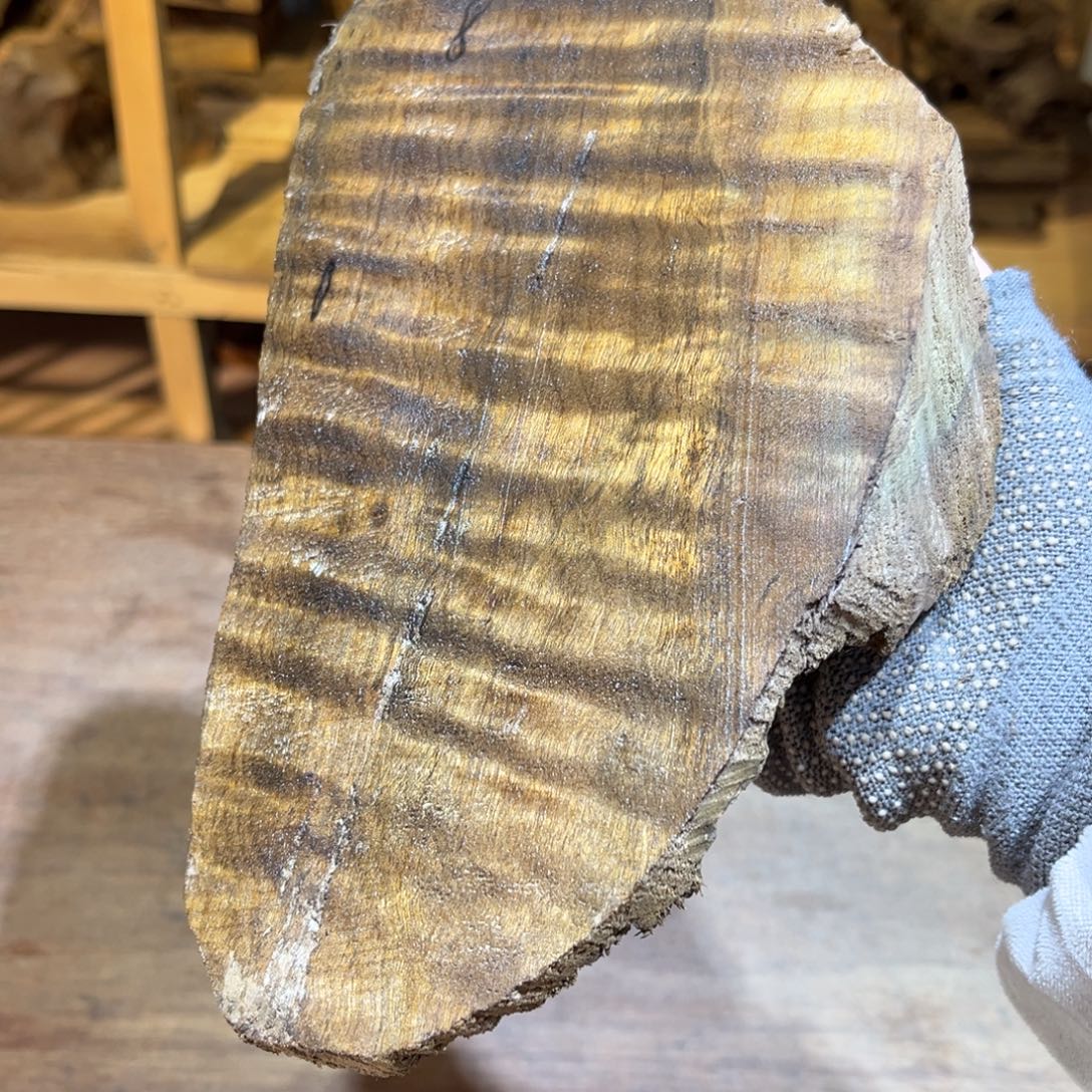 木质类金丝楠原材料