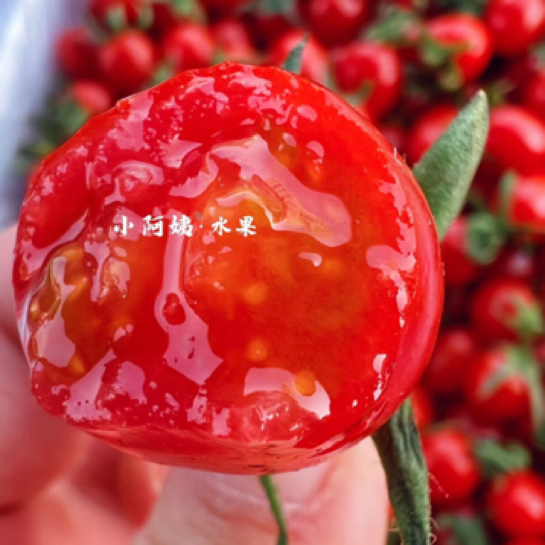 广东电白千禧简装（500g）