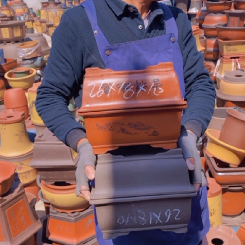 【闪购商品】紫砂花盆中自然