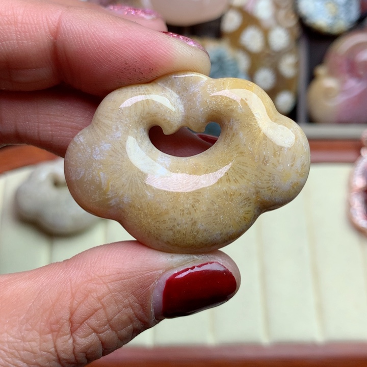 硅化珊瑚（珊瑚玉）颈饰未镶嵌