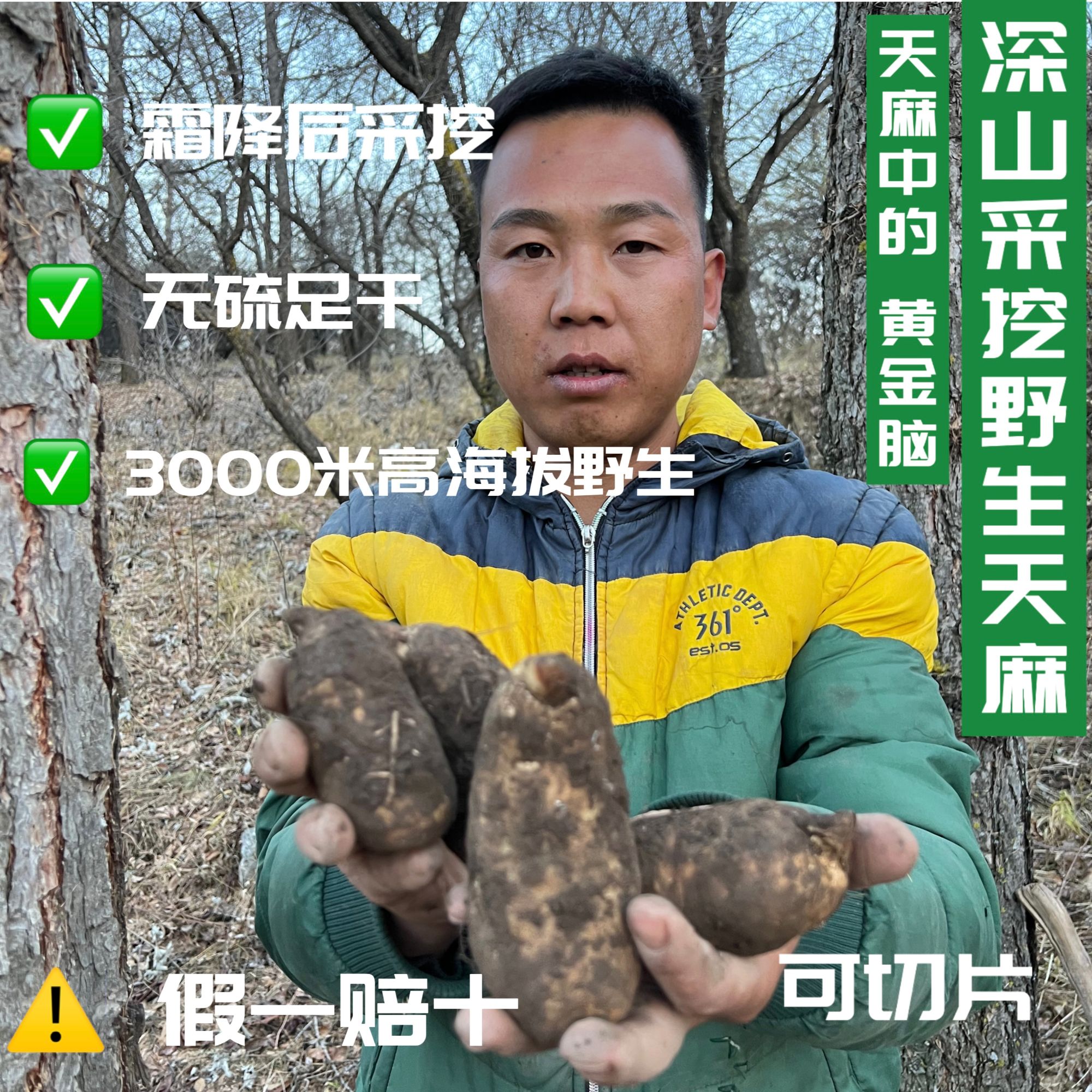 野生天麻新货无添加自然晒干可切片可打粉