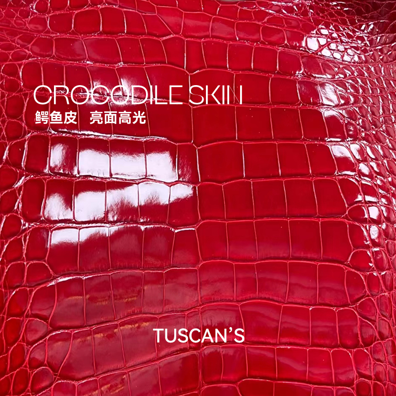 TUSCAN'S【K28】经典气质款鳄鱼皮黑色银扣女手提包时代双鱼