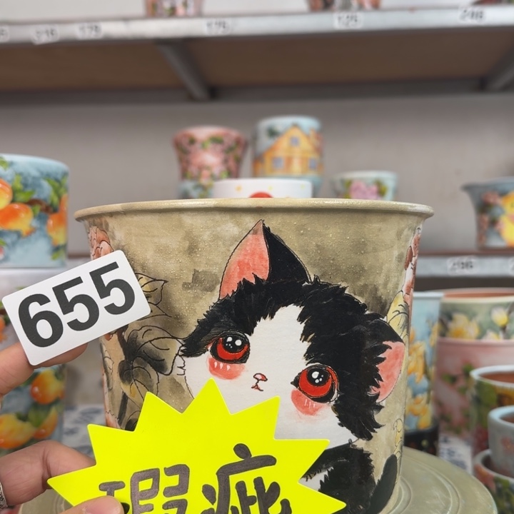 何***何景德镇手绘多肉花盆