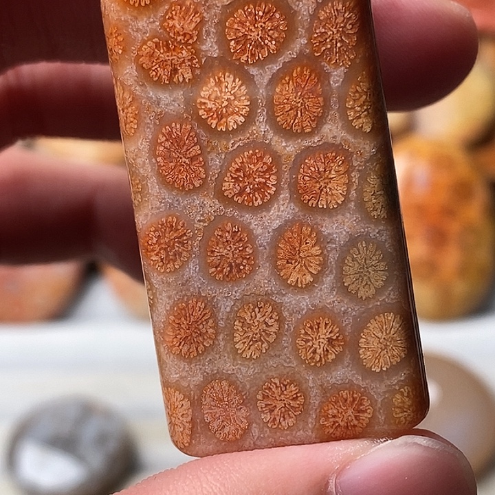 大***欣硅化珊瑚未镶嵌颈饰