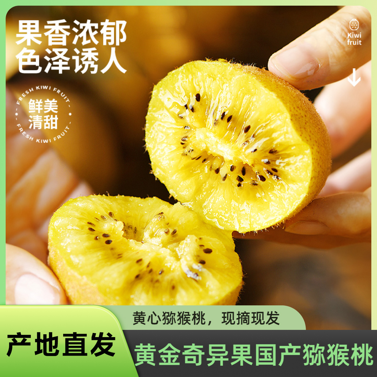 精品礼盒装】四川蒲江黄心猕猴桃 国产黄金奇异果 产地直发【需催熟