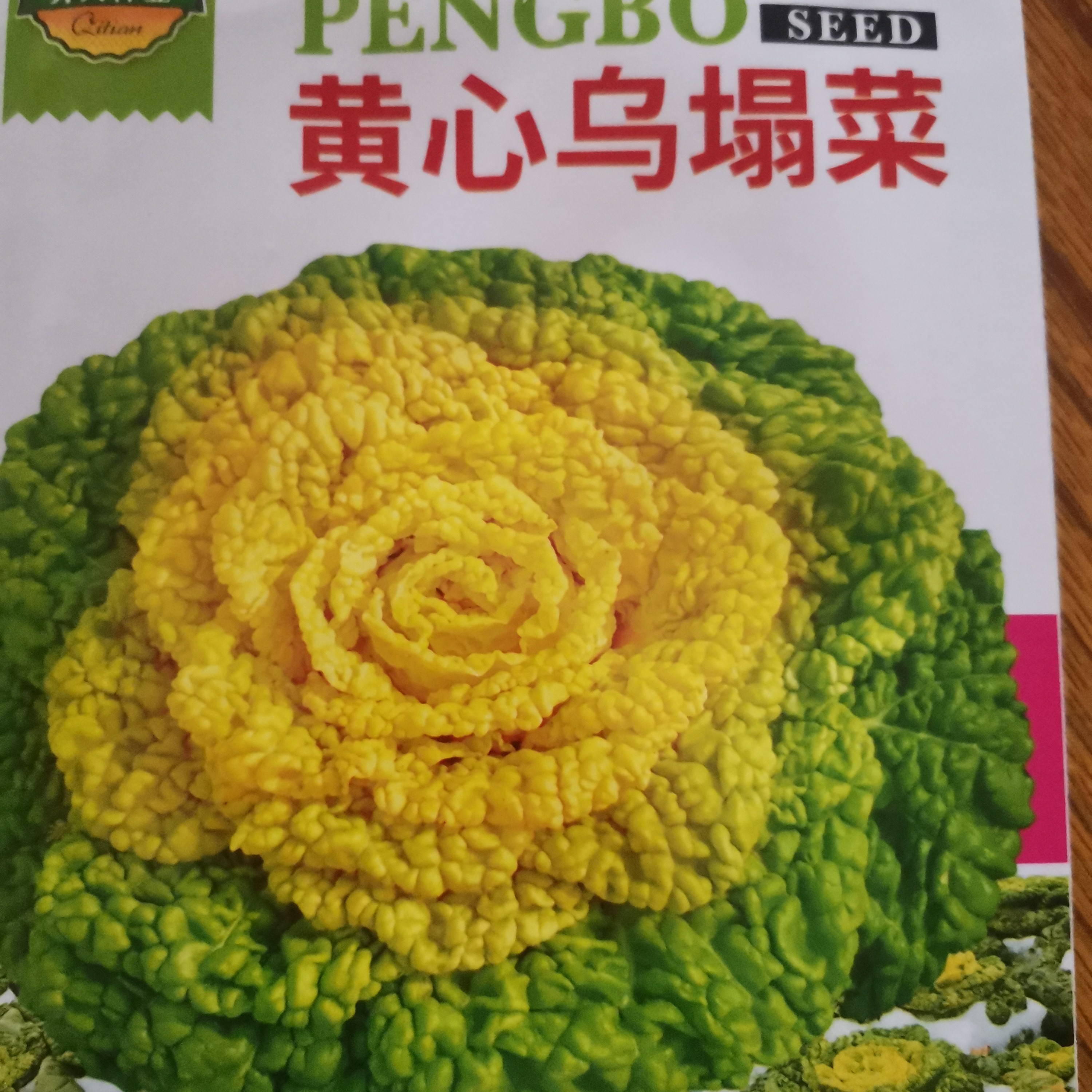 耐寒黄心乌塌菜种子四季可播菊花心奶油黄心菜蔬菜种子