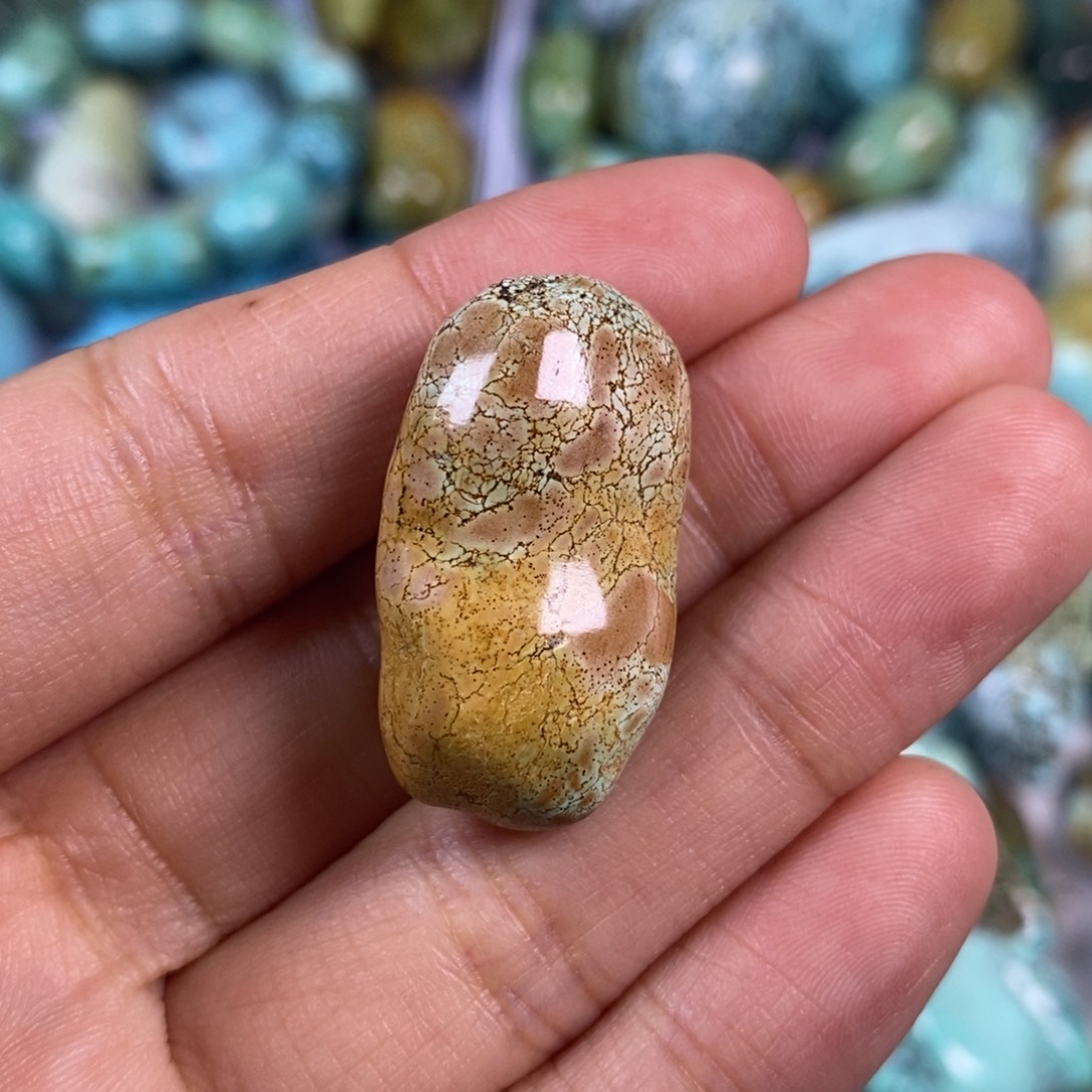 绿松石未镶嵌颈饰