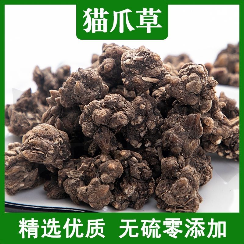 正宗猫爪草正品河南淮滨野生猫爪草特级猫瓜草真品泡水猫抓草