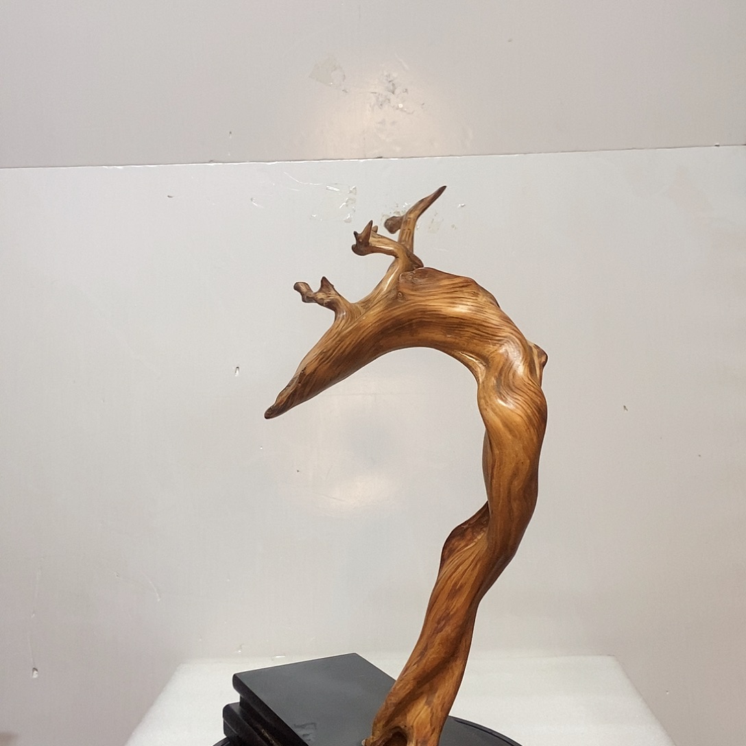 柏木（崖柏）海*崖柏