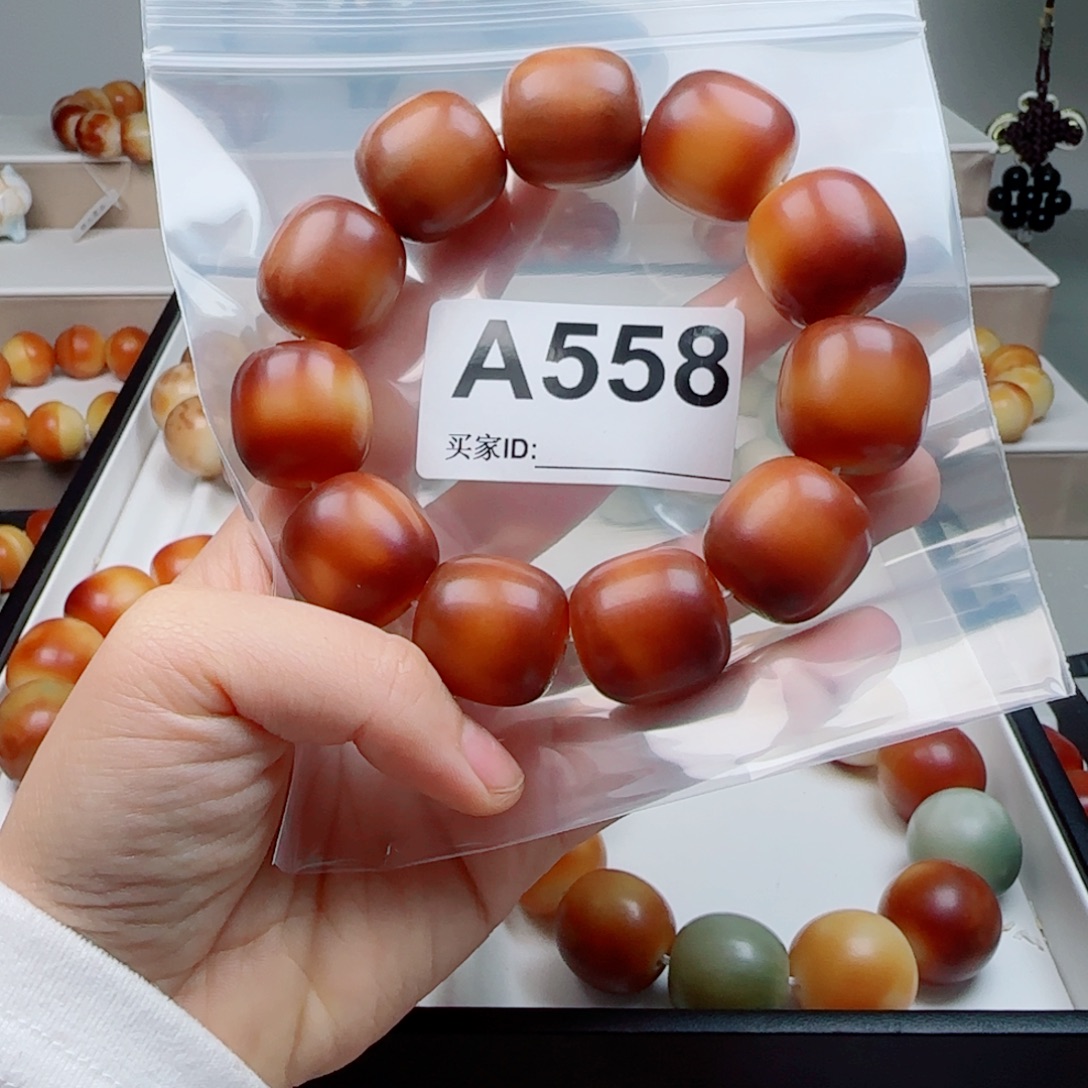 吊坠菩提根/象牙果菩提2.17