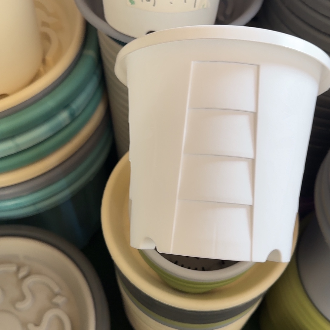 树脂测2无托5个白色