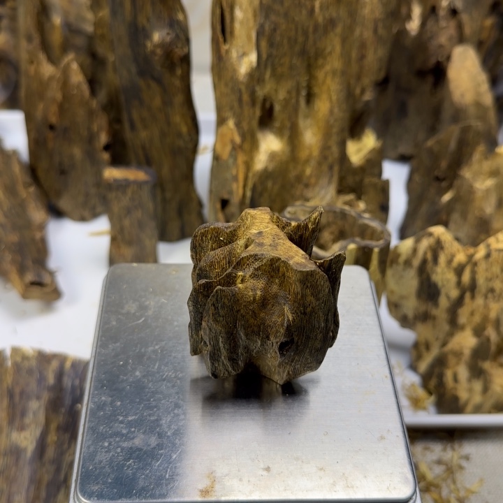 张***清沉香乌身圆叶手把件32克