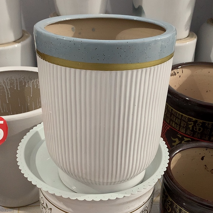 蓝口金线一个高33口径26送托盘默认微瑕