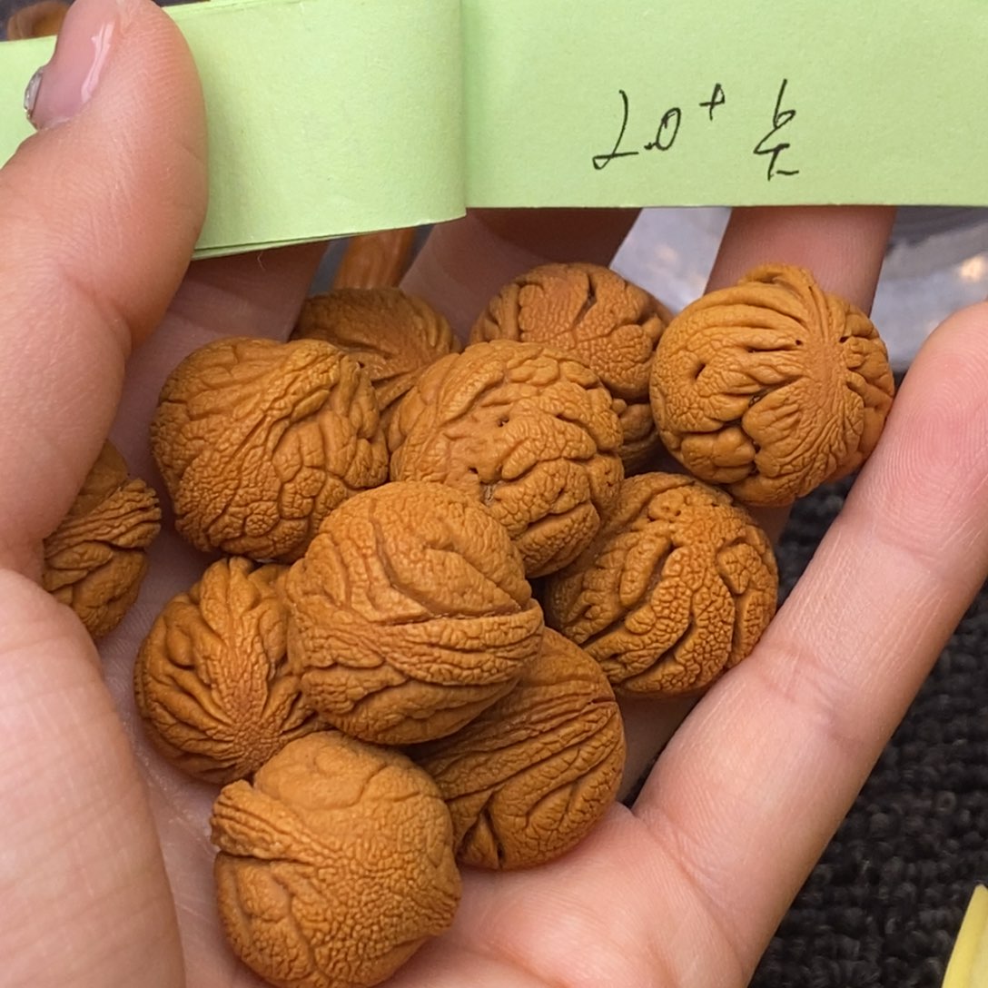 秦岭山脉龙纹桃核 13