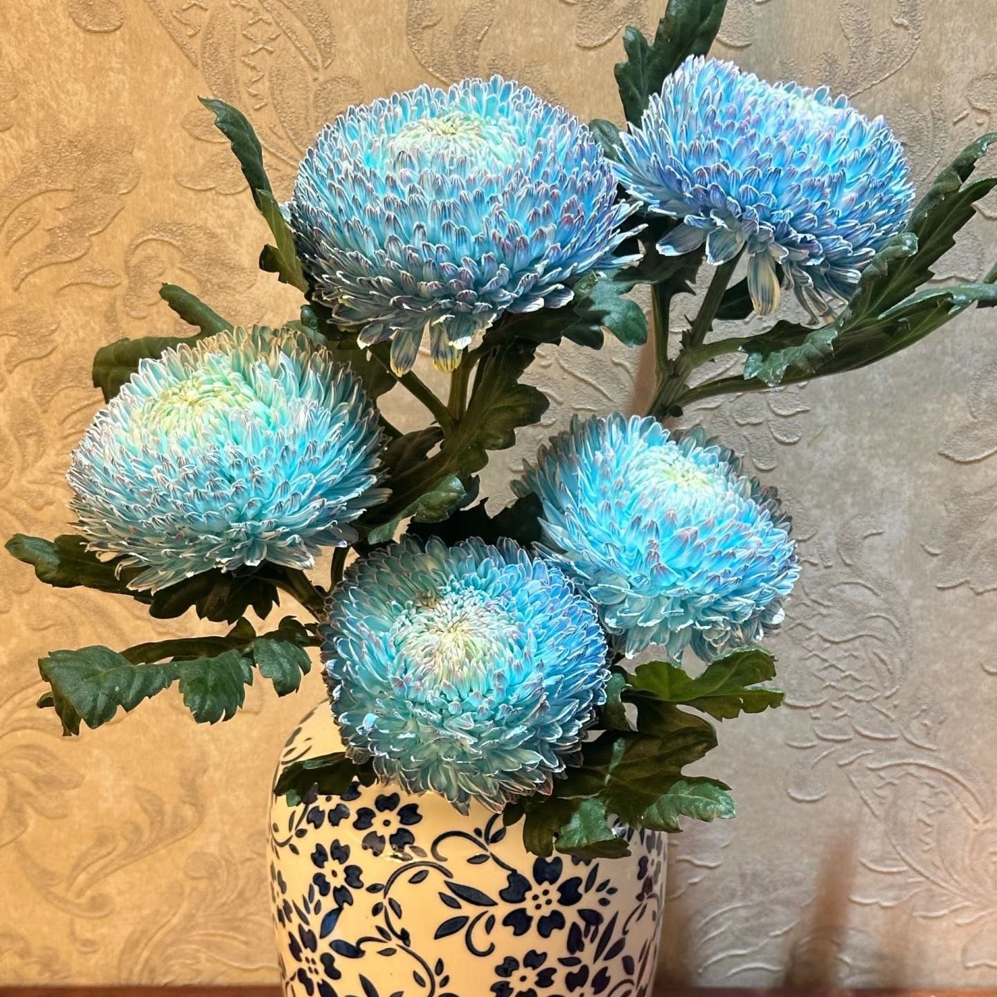 青花瓷牡丹菊一支 花期超长 居家办公瓶插花
