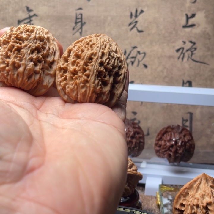 今日拍品推荐178号拍品