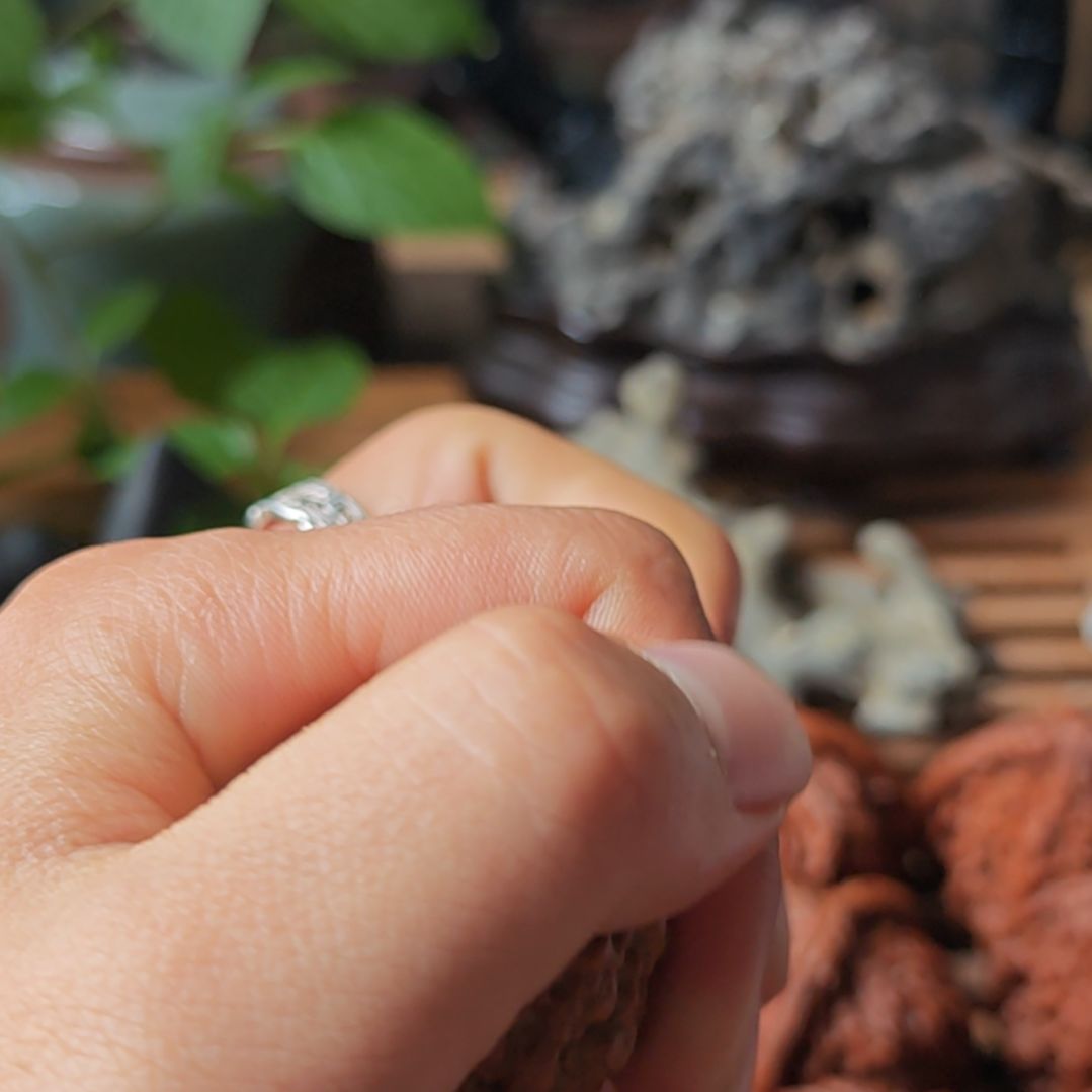 磁***应把件文玩核桃云南野生小众秘境文玩核桃螭云