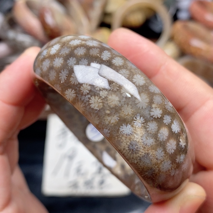 硅化珊瑚（珊瑚玉）未镶嵌手镯52