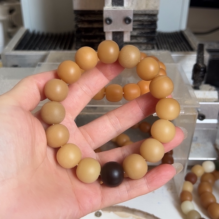 手串菩提根/象牙果