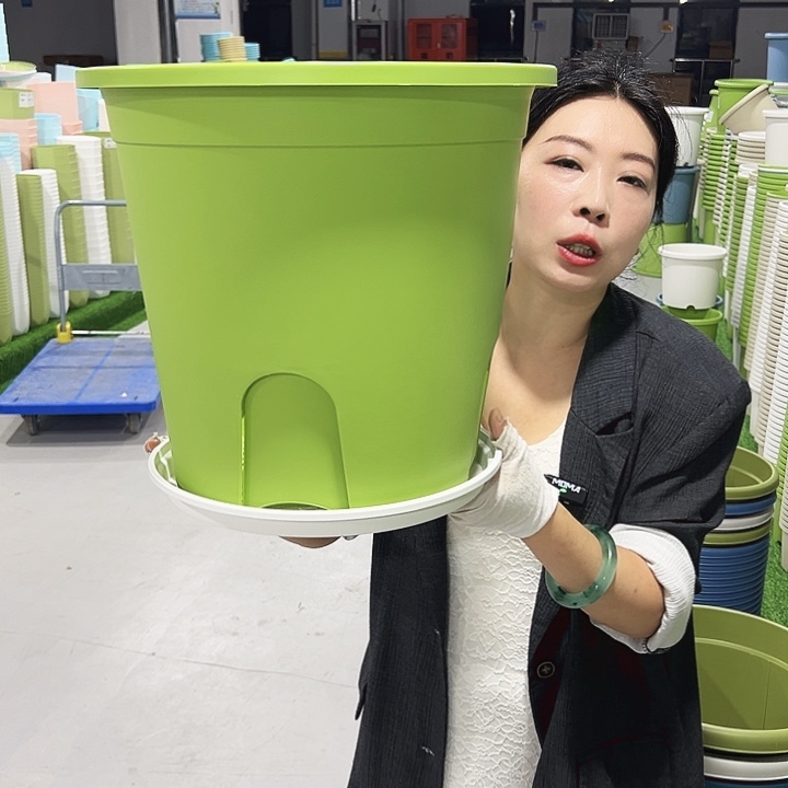 正品圆控口38高34果绿5只带托