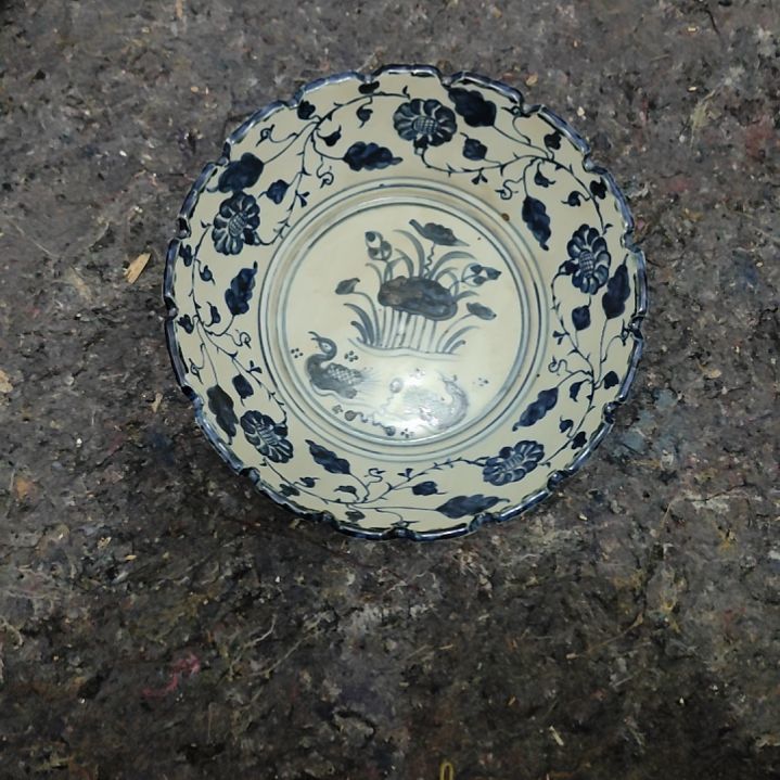 好好好好好好好好好好