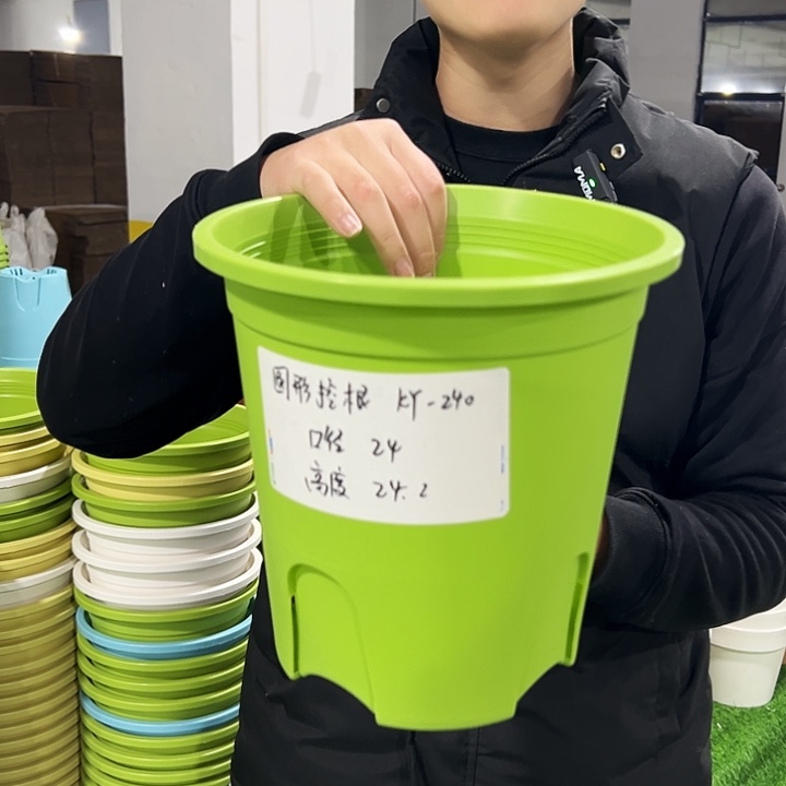 正品圆控口24高24果绿色8只无托