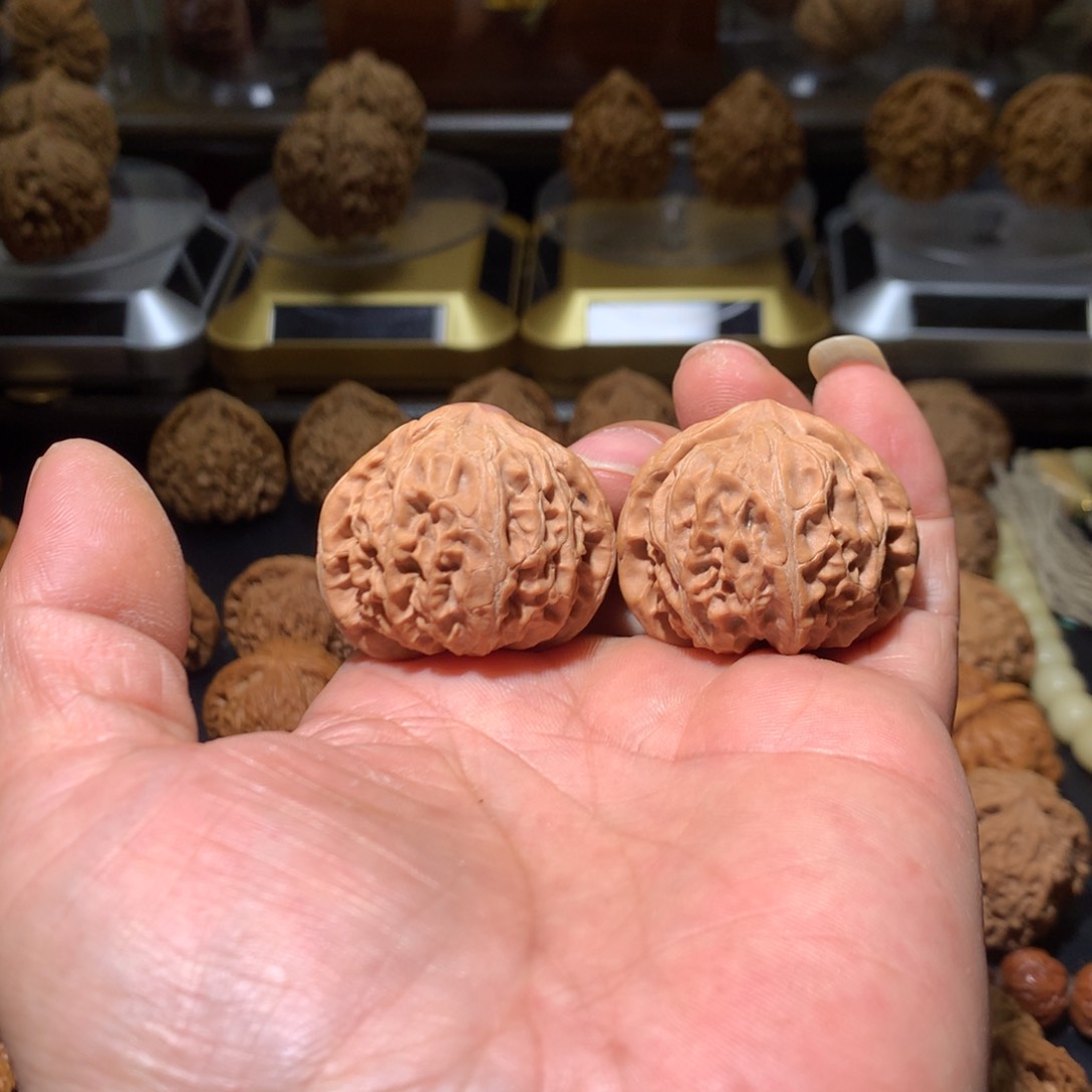 38全品宫灯一物一图