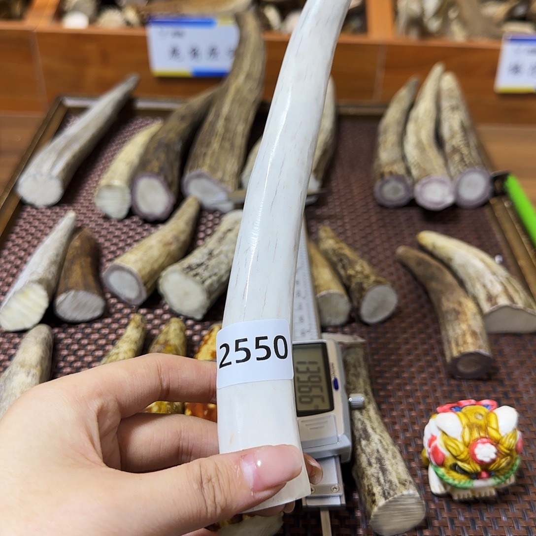 手串/手链鹿骨角尖2550