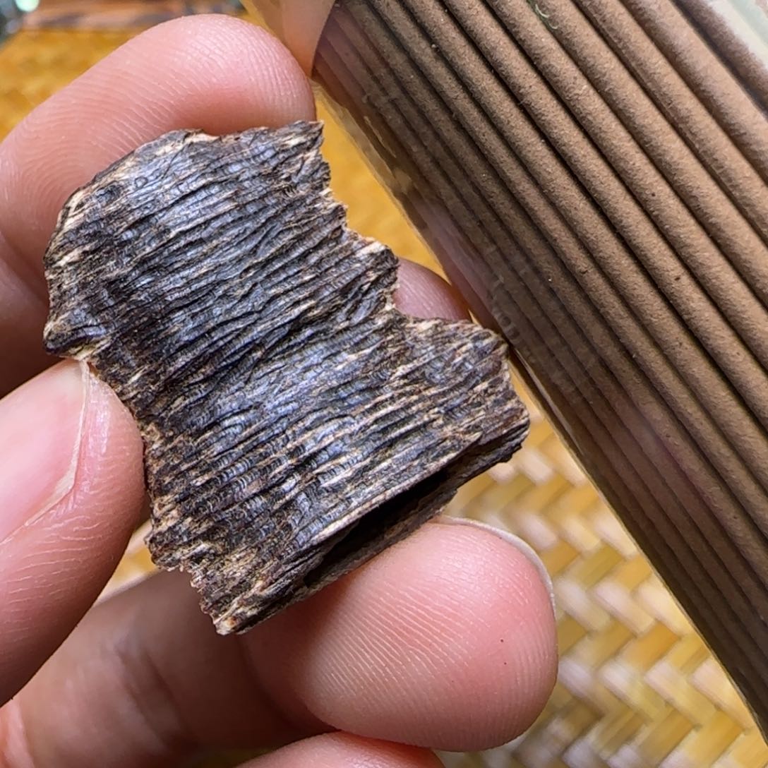 海南老琼脂树心虫漏0.9克重