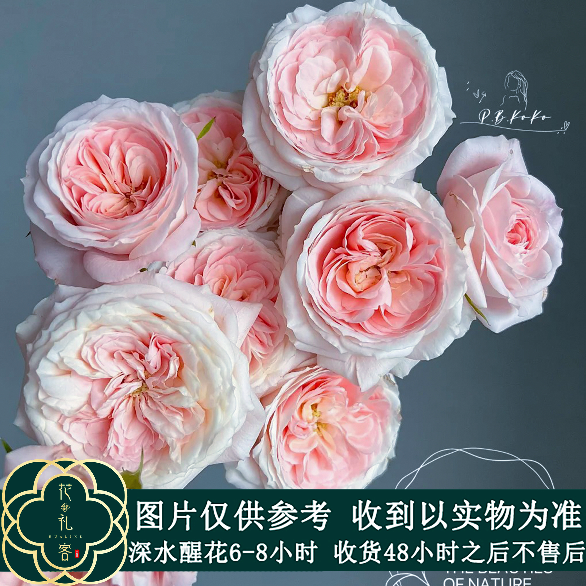 七叶花坊# 【多丽斯】鲜花优选 顺丰直发