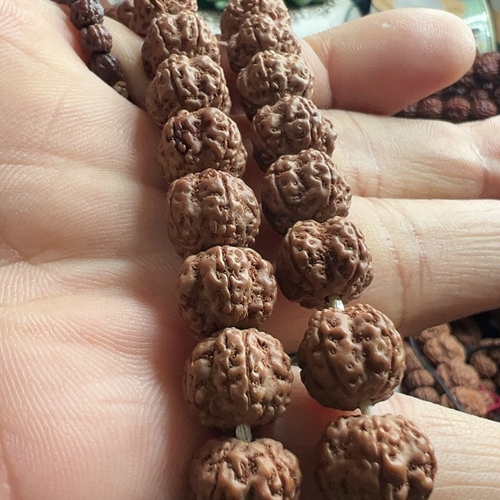 小***蛙手串金刚菩提花王大手持42颗籽好多备籽