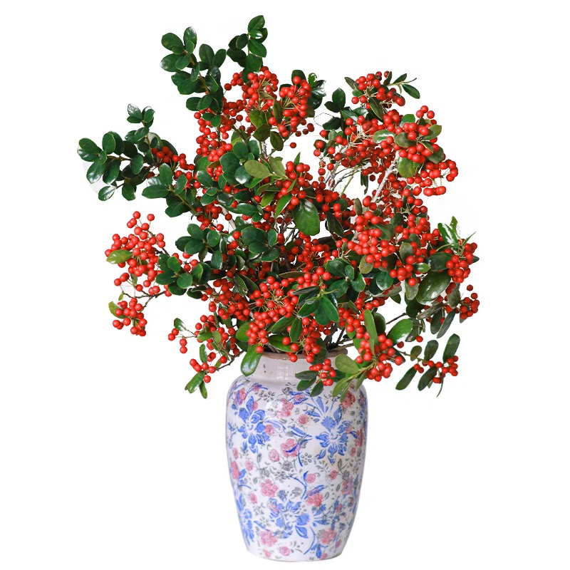 金玉满堂树别墅庭院客厅大堂室内外无刺构骨红运果北美冬青招财树