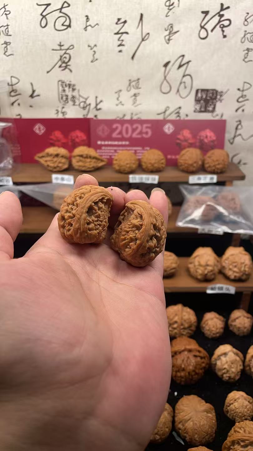 40全品塔尖蛇头 稀有产品