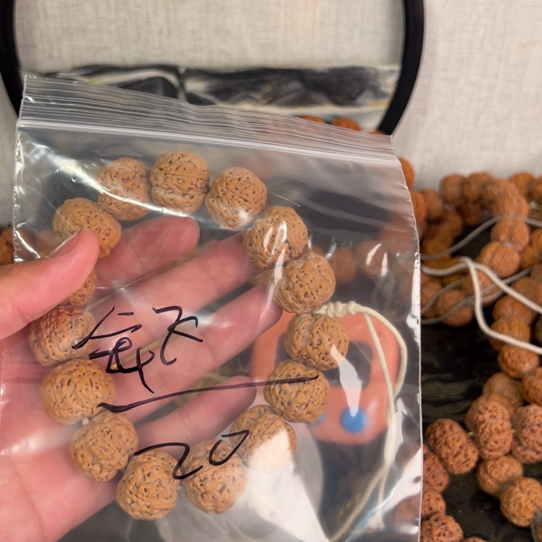 金刚菩提吊坠会**鱼啊啊啊啊啊啊