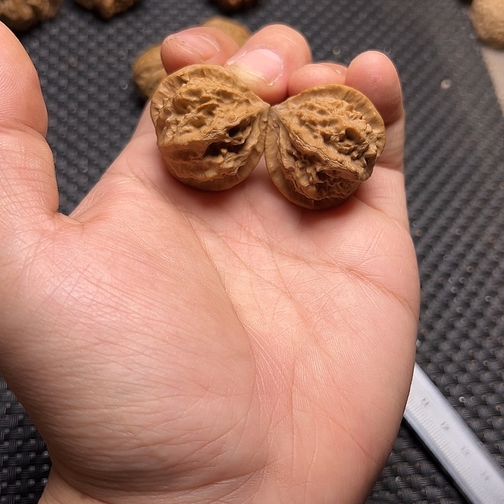 文玩核桃吊坠小蝴蝶