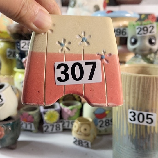 红陶多肉植物花盆