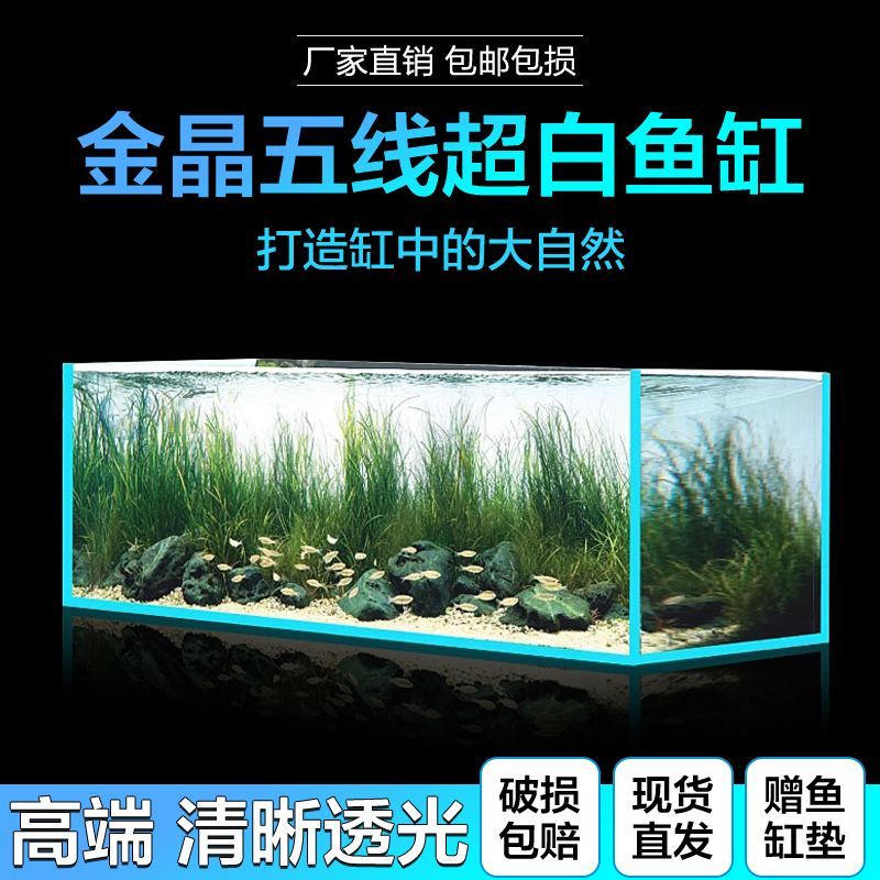 粉丝80-20-30特价现货福利超白玻璃鱼缸家用造景客厅