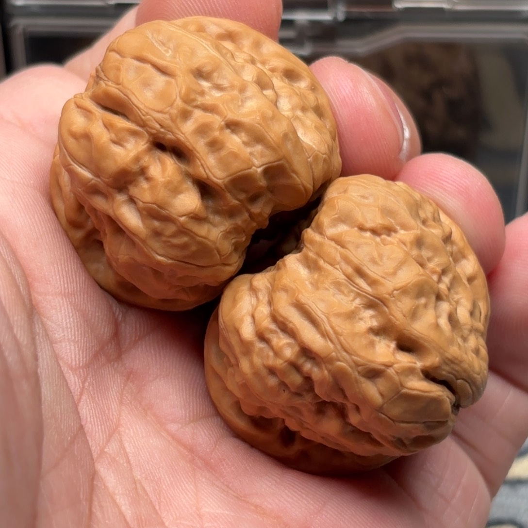 文玩核桃把件蛤蟆