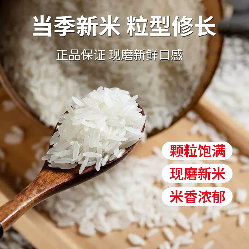当季新米长粒香米正宗丝苗米煮饭清香口感软糯