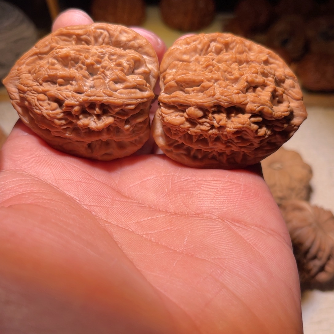 文玩核桃把件堂虎